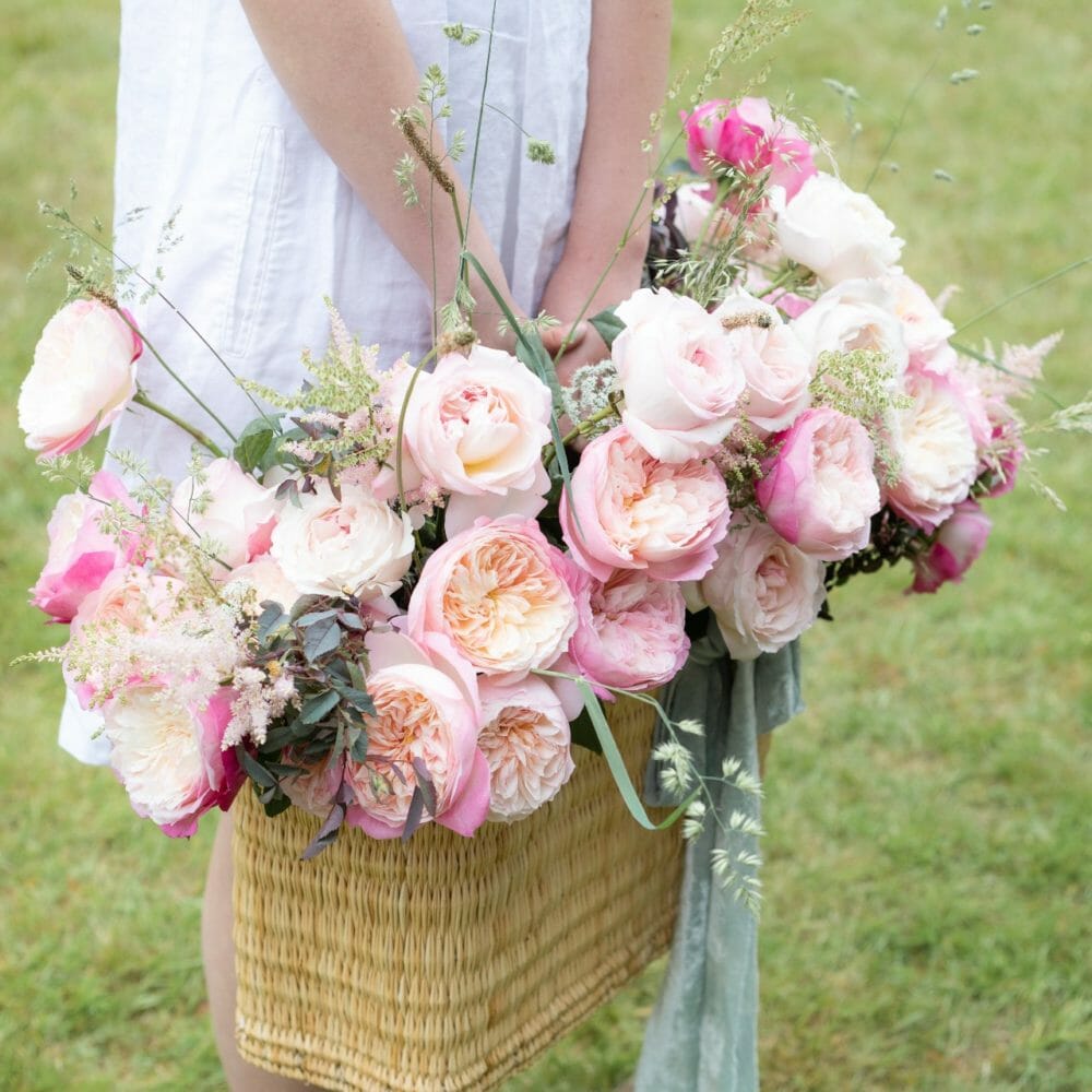 David Austin Constance garden roses in a blush pink wedding bouquet