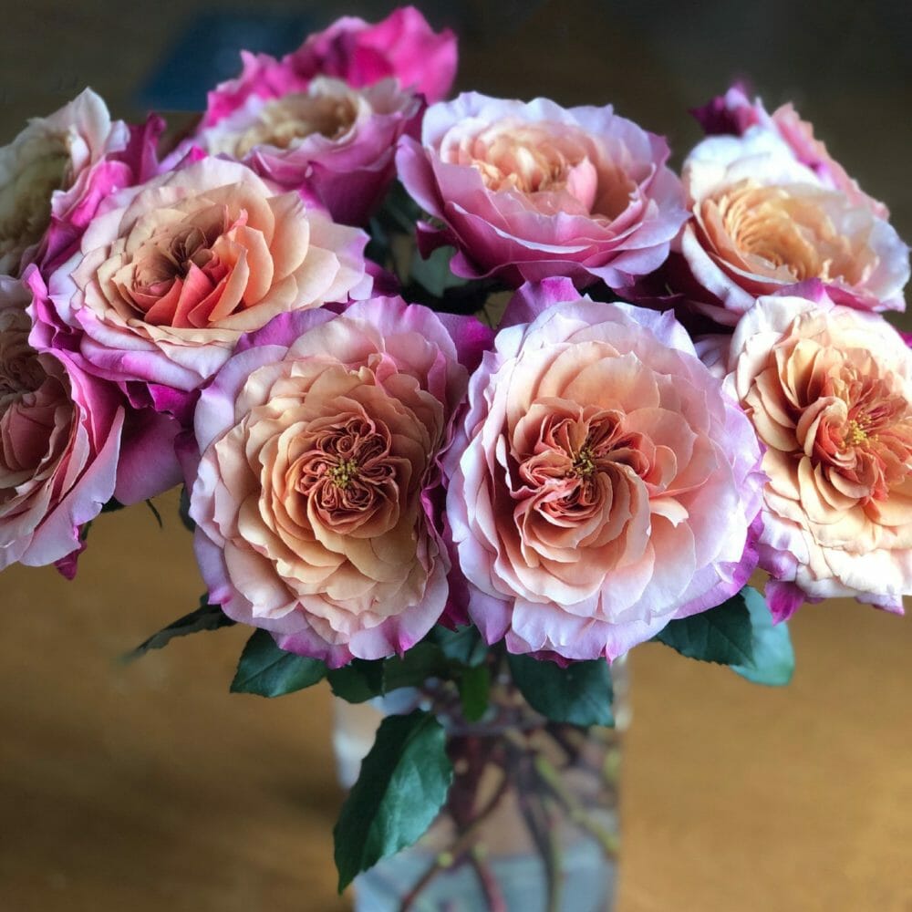 Wabara Miyabi garden roses in a soft peach and pink floral arrangement