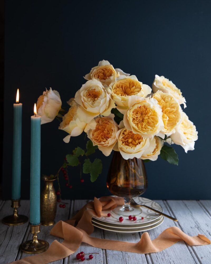 David Austin Effie garden roses, vase of golden yellow roses