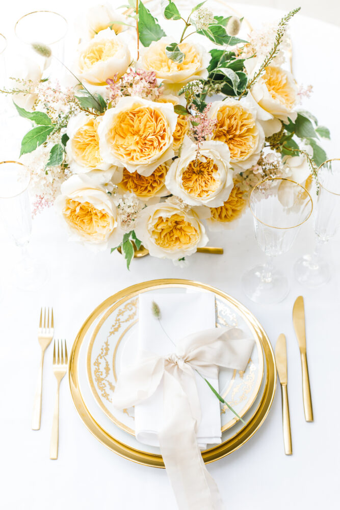 David Austin Effie Golden garden roses