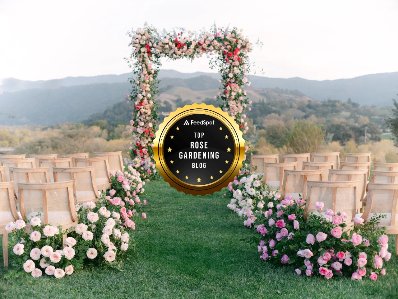 Professional florist designing with garden roses, featuring FeedSpot Top 10 Rose Gardening Blog award badge